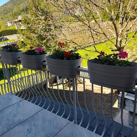 La Casetta Di Campagna Mazzo di Valtellina Dış mekan fotoğraf